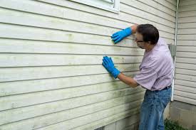 Best Siding Maintenance  in USA